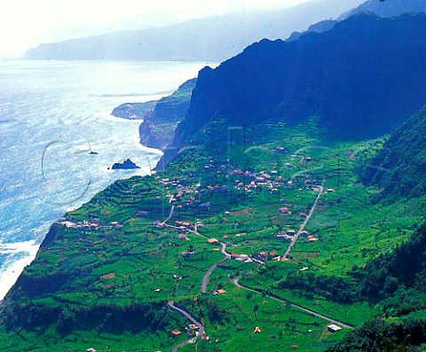 Vineyards near Santana on the north coast of Madeira