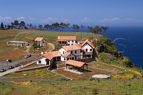 Vineyards around Quinta do Furao near  Santana on the north coast of Madeira