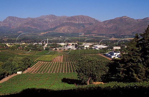 Paarl viewed over the vineyards of  Laborie Estate   Cape Province South Africa