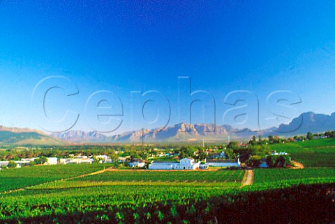 Laborie Estate Paarl Cape Province South Africa