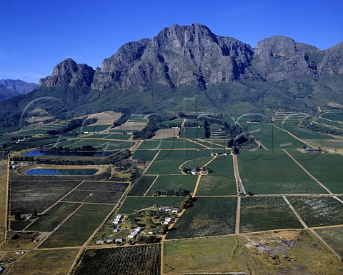 Aerial view of vineyards east of Stellenbosch   South Africa