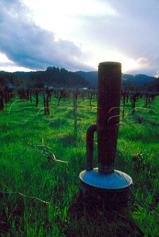 Antifrost oilburning smoke pot in   vineyard Napa Valley California