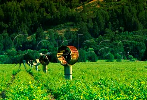 Antifrost wind machines in vineyard at   Calistoga Napa Co California  Napa Valley
