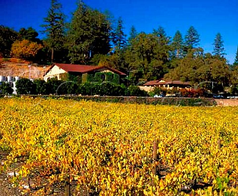 Flora Springs winery over autumnal vineyard  St Helena Napa Valley California