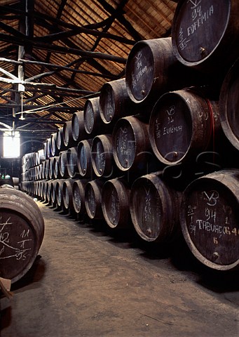 Barrels of Port in the Niepoort lodge at   Vila Nova de Gaia Portugal