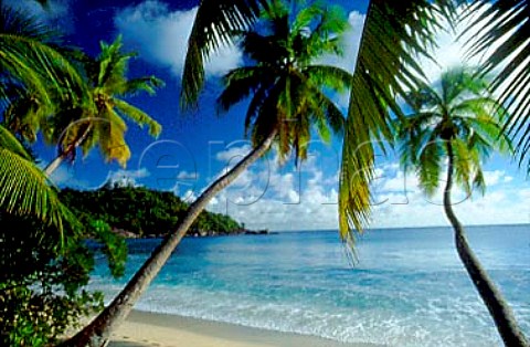 Tailaraila beach South Maha The Seychelles Indian Ocean