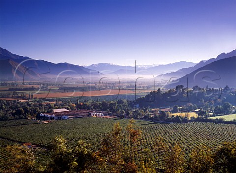Bodegas and vineyards of Errazuriz in the  Aconcagua Valley north of Santiago Chile