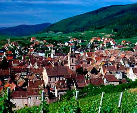 Riquewihr viewed from the Grand Cru Schoenenbourg   vineyard HautRhin France  Alsace