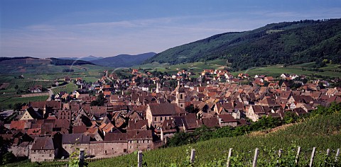 Riquewihr viewed from the Grand Cru Schoenenbourg vineyard HautRhin France Alsace