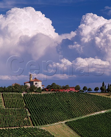 Castello di Luzzano and its vineyards Rovescala Lombardy Italy   Oltrep Pavese  Colli Piacentini