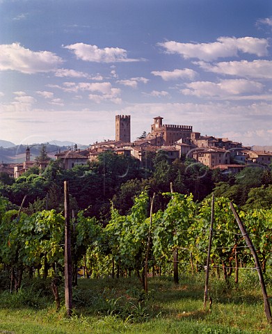 Vineyard overlooking the medieval town of   CastellArquato Emilia Romagna Italy  Colli Piacentini DOC