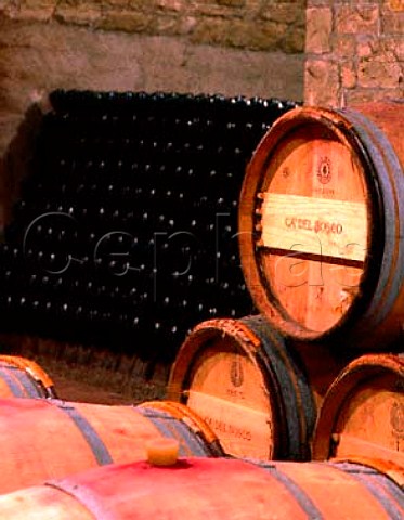 Barriques of red wine and puptre of sparkling wine   in the cellars of Cadel Bosco  Erbusco Lombardy Italy  Franciacorta