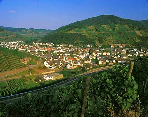 Vineyards around Dernau in the Ahr valley   Germany   Ahr