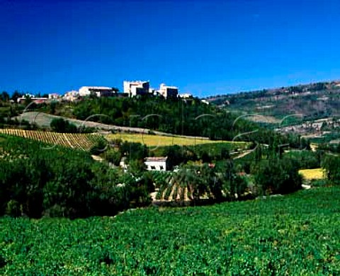 Vineyards around the village of Roquetaillade Aude   France  Limoux