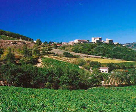Vineyards around the village of Roquetaillade   Aude France  Limoux