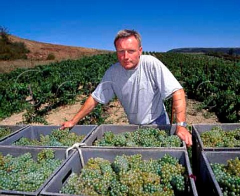 JeanLouis Denois with boxes of harvested Chardonnay grapes Roquetaillade Aude  France  Limoux