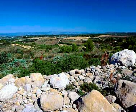 Rocks which were cleared from the soil in order to   plant the vineyards of Domaine Peyre Rose  StPargoire Hrault France    Coteaux du Languedoc
