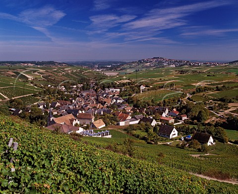 View over Chavignol from top of Le Cul de Beaujeu vineyard with the hilltop town of   Sancerre in the distance  the winery of Henri Bourgeois is bottom left    Cher France   AC Sancerre