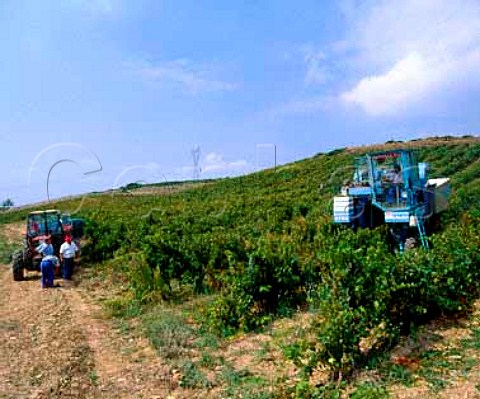 Machine harvesting of Chardonnay grapes at  Bodegas Nekeas Aorbe near Puente la Reina Navarra   Spain