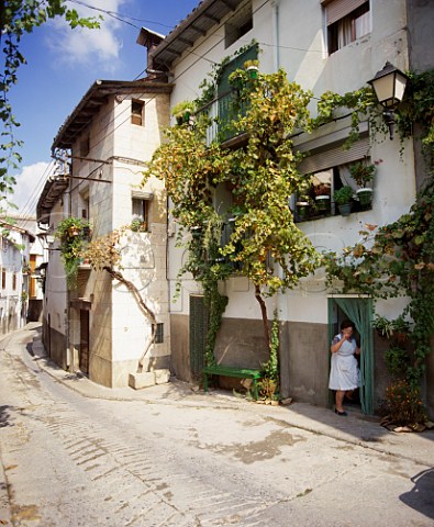Vines growing up houses in backstreet of Graus near Barbastro Aragon Spain  Somontano