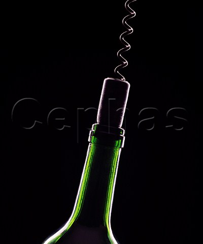 Wine bottle and corkscrew with synthetic cork
