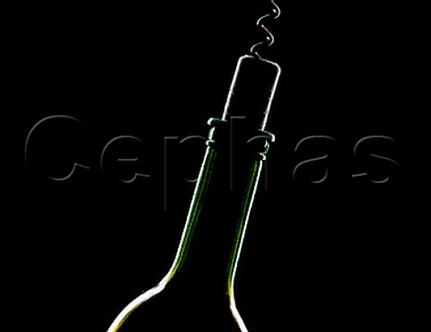 Bottle and corkscrew  synthetic cork