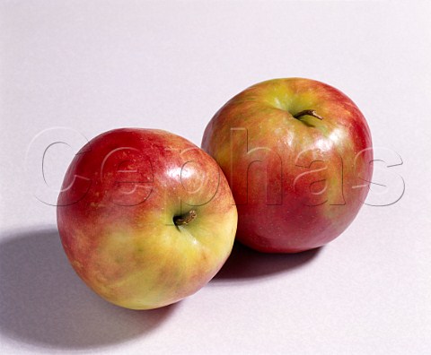 Red Jonagold apples