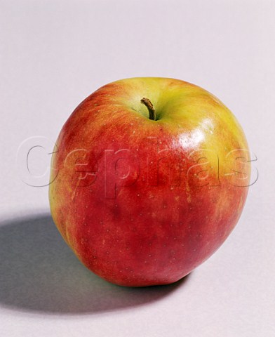 Red Jonagold apple