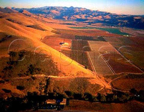 Byron Vineyards and winery at the foot of the San   Rafael Range Santa Barbara Co California   Santa Maria Valley AVA