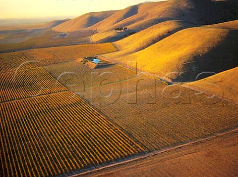 Byron Vineyards and winery at the foot of the   San Rafael Range Santa Barbara Co California   Santa Maria Valley AVA