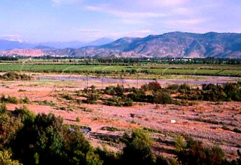 View over Rio Tinguiririca to vineyards of   Vina Santa Emiliana Nancagua Chile