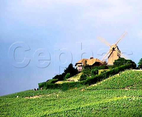 The Moulin de Verzenay on the Montagne de Reims   Marne France Champagne