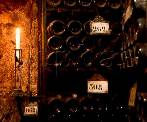 Vintage bottle cellar of Bouchard Pre et Fils   Beaune Cte dOr France