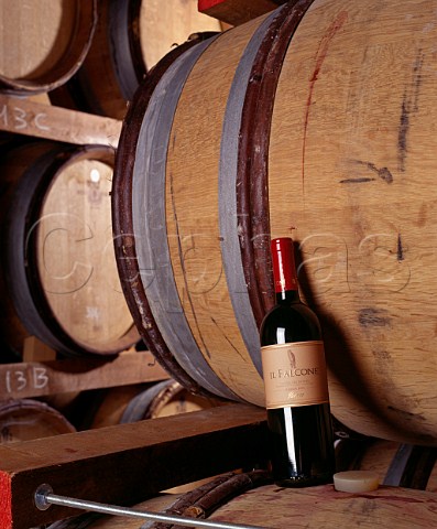 Bottle of Il Falcone in the barrel cellar of Rivera  Andria Puglia Italy   Castel del Monte