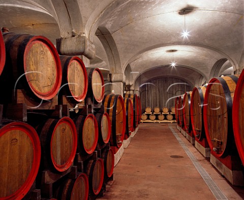 Barrel cellar of Cantina del Taburno Foglianese Campania Italy