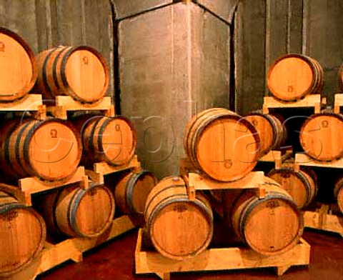 New oak barriques in the barrel cellar of Cantina   del Taburno Foglianese Campania Italy