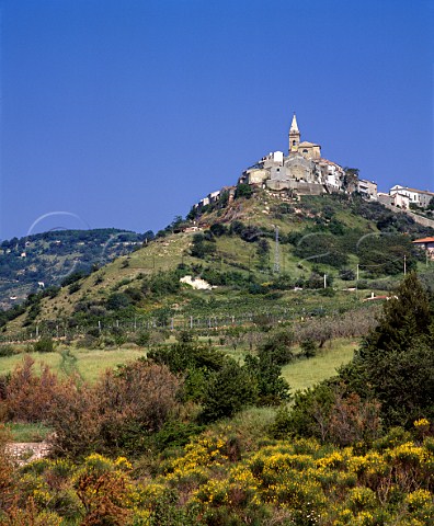 Village of Guardialfiera above the Biferno valley   Molise Italy