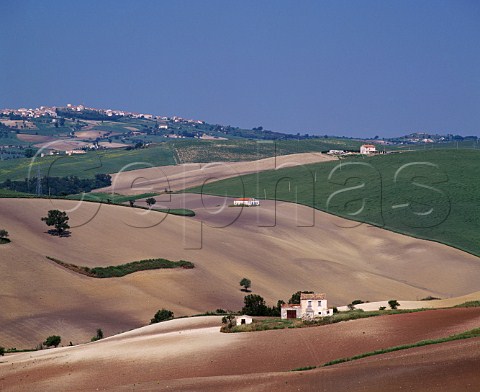 Landscape near Guglionesi Molise Italy   Biferno DOC