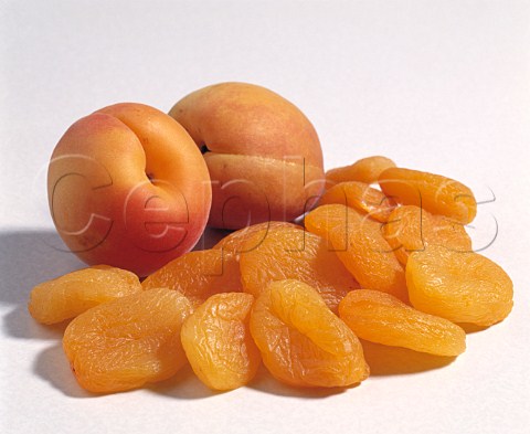 Apricots  dried and fresh