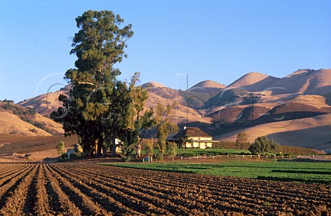 Talley Vineyards tasting room with the  Santa Lucia Range beyond   San Luis Obispo Co California  Arroyo Grande AVA
