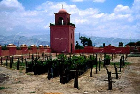 Vineyard and bell tower at Tacama in the   Ica Valley Peru