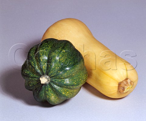 Squashes  Acorn and Butternut
