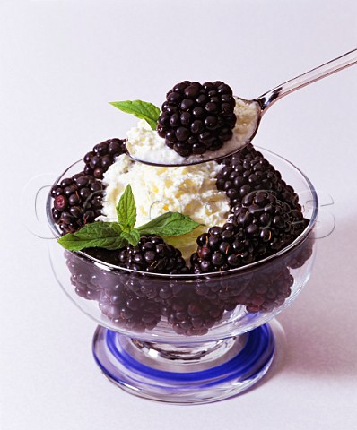 Blackberries with cream