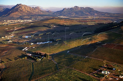 Aerial view over Mulderbosch Vineyards   Stellenbosch South Africa