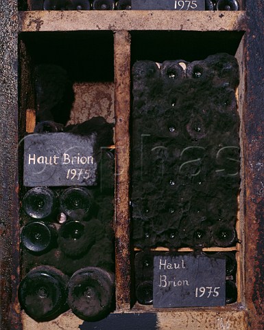 Bottles of Chteau HautBrion 1975 in the personal cellar of Jacques Seysses owner of Domaine Dujac MoreyStDenis Cte   dOr France