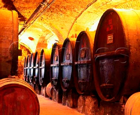 Botti in the cellars of Pio Cesare  Alba Piemonte Italy