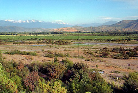 View over the Rio Tinguiririca to the vineyards of   Via Santa Emiliana Nancagua Chile