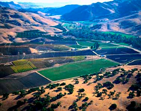 Talley Vineyards in the Arroyo Grande Valley with   the Saucelito Ridges and Santa Lucia Range beyond   San Luis Obispo Co California   Arroyo Grande AVA