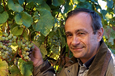 Istvn Szepsy in his vineyard at   Md Hungary  Tokay