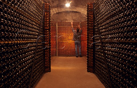 Bottle cellar of Disznk Winery   Md Hungary   Tokaji
